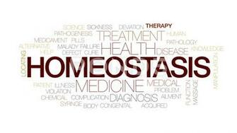 Homeostasis Animated Word Cloud Text Design Animation Kinetic