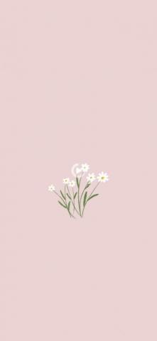 Redirecting In iPhone Wallpaper Plants Minimalist