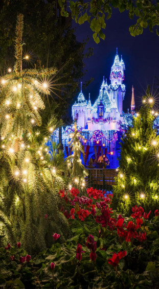 iPhone Disney Garden Castle Wallpaper