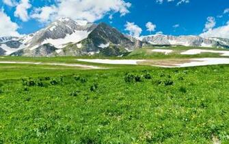 Spring In The Mountains Wallpaper Early