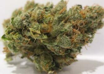 Tags Black Sunday Og Kush HD Walls Find Wallpaper