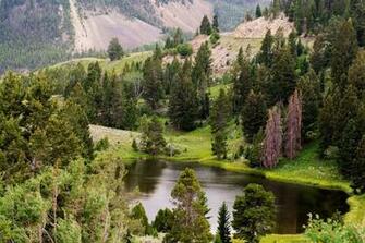 Yellowstone National Park Hq Wallpaper