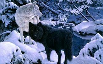 Wolf Wallpaper HD Early