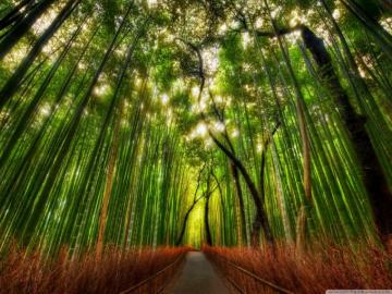 Bamboo Oly Float Sensory Deprivation