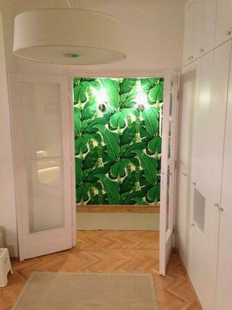 Papered In Carleton Varney S Brazillance Wallpaper Thanks To This Post