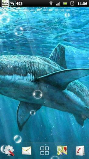 Sharks Live Wallpaper Android Apps On Google Play