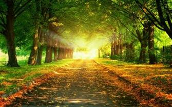 High Definition Wallpaper 1080p For Desktop