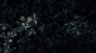 Aesthetic Black Wallpaper