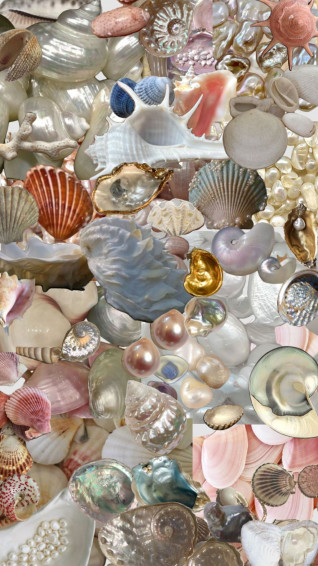 Pearl Wallpaper Watch For Your Phone Pink iPhone Apple
