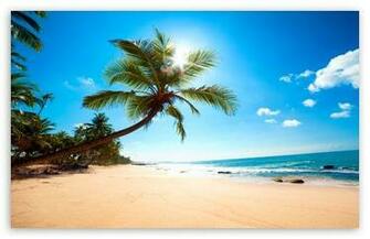Amazing Nature HD Wallpaper For Standard Fullscreen Uxga Xga