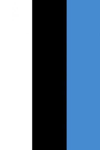 Estonia Flag iPhone Wallpaper HD