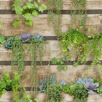Graham Brown Strata Palissa Vegetal Green Removable Wallpaper