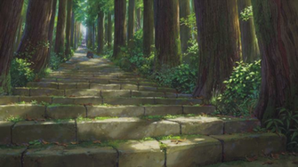 Climb The Forest S Stairs HD Wallpaper Background Image