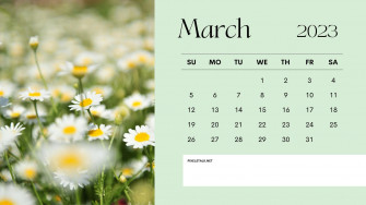 March Calendar Desktop Wallpaper Net