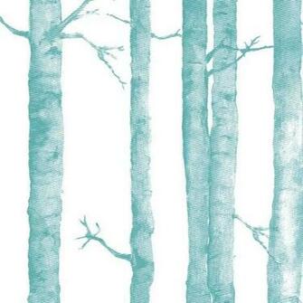 Aspen Tree Wallpaper Tiles Contemporary By Design