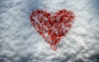 Valentines Day February Wallpaper And Image