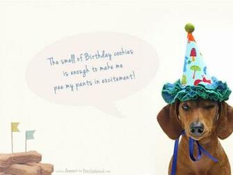 BirtHDay Week Desktop Wallpaper Ammo The Dachshund