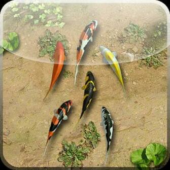 Water Pool Live Wallpaper App Android Kostenloser S4
