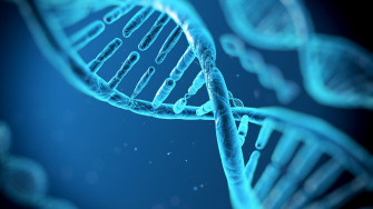 Share In Healthcare And Biotech Gains With A Yield Nyse Hqh