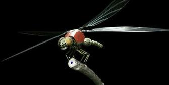 Cgi Computer Wallpaper Desktop Background Id
