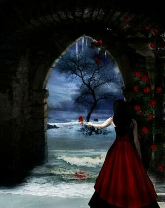 Bleeding Rose Wallpaper Google Image We Heart It