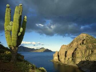 Baja California Mexico Image Danzante Island Sea Of Cortez
