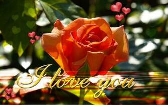 New I Love You Wallpaper On This Valentines Day