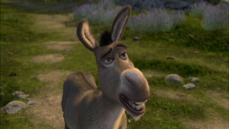 Donkey Wallpaper