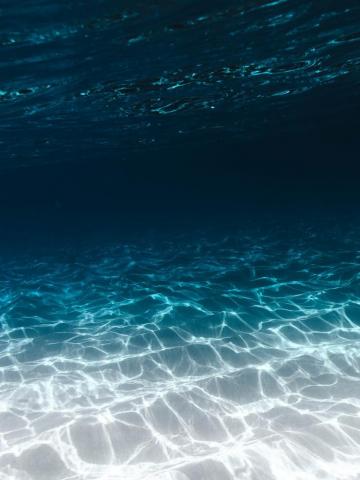 Underwater Image Stock Photos On