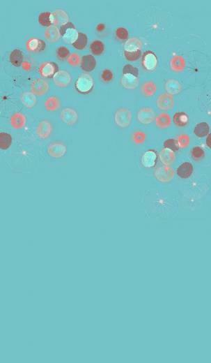 Little More Teal For Kellen S Taste Trove Alula Wallpaper Detail