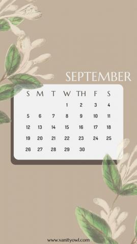 Beige Phone Wallpaper S You Won T Resist Vanity Owl