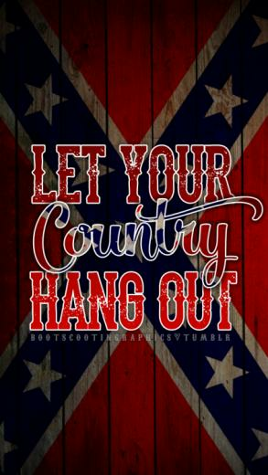 Rebel Flag Graphic