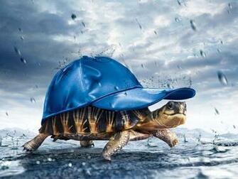 Wallpaper Rain Bi Funny Cartoons