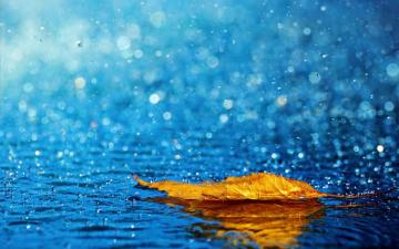 Wallpaper For Computer Rain On