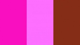 Shocking Pink Crayola And Sienna Three Color Background
