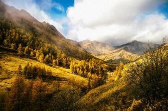 Chianale Piemonte Italia Italy Piedmont Mountain Hills Tree Autumn