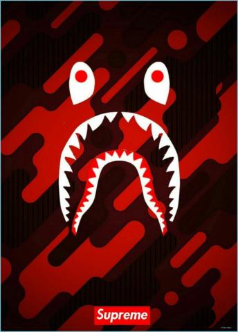 Supreme Shark Wallpaper Red Bape Neat