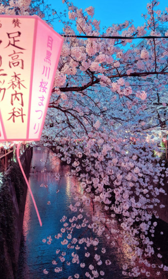 Japanese Pink Wallpaper
