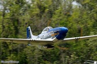 Mustang Pics P Mustangsmustangs