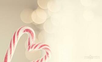 Christmas Candy Canes Photo