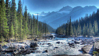 Canadian Wallpaper