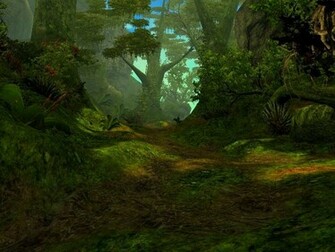 Best Collections Of Photos And Wallpaper Jungle