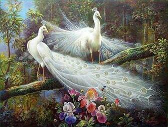 Peacock HD Wallpaper Pictures Image Background Photos