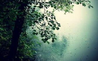 Desktop Wallpaper Rain Which Is Under The Rainy