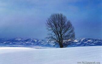Tree Massif Snow Landscape Wallpaper