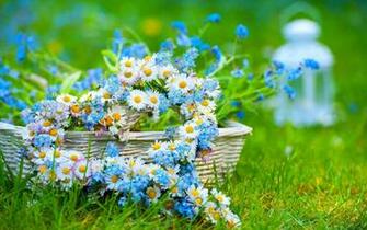 Wallpaper Summer