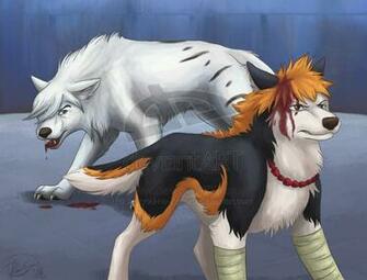 Anime Wolves Image HD Wallpaper And Background Photos