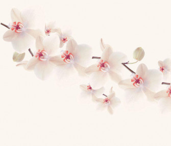 Life Aires Wdai0803 B Wallpaper