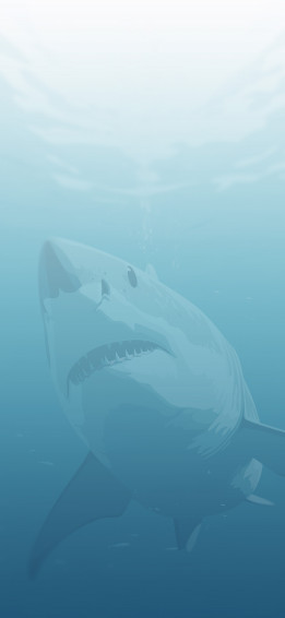 White Shark Blue Wallpaper