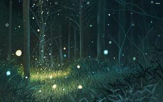 Image Desk Night Forest Xg